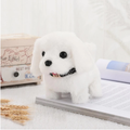 Interactive Walking Bunny Toy with Sound